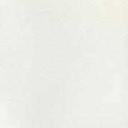 OLIVIO WHITE