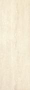 CASSINIA BEIGE