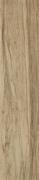 BAIMA BEIGE