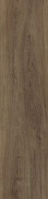 FOREST COGNAC