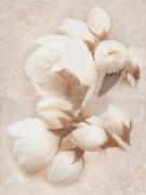 NIZZA КВІТКА BIANCO