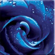 ROZA UNIVERSAL GLASS