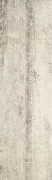CELTIS DUST
