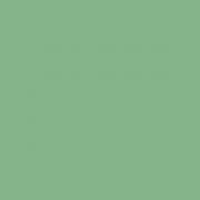 2 гатунок GAMMA GREEN POLISHED