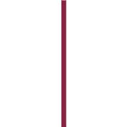 UNIVERSAL GLASS STRIP BORDO